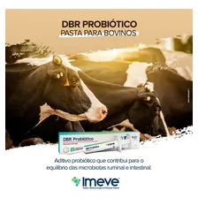 Dbr Probiótico Imeve - Pasta Para Bovinos Bisnaga 34g Foto mini 4
