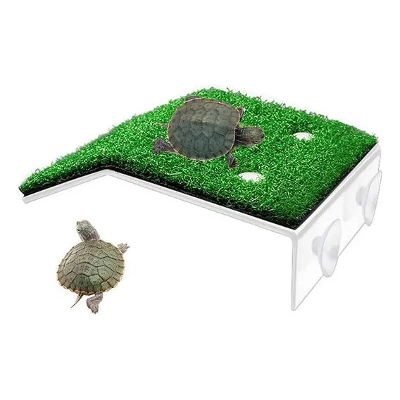 Deck Para Aquaterrário Tartarugas Pet C/ Ventosa 20x24cm Foto 1