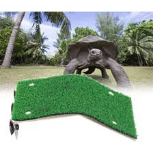 Deck Para Aquaterrário Tartarugas Pet C/ Ventosa 20x24cm Foto mini  2
