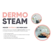 Dermosteam Vaporizador Facial Elétrico Vapor Ozônio Ibramed 110v Branco Foto mini  2