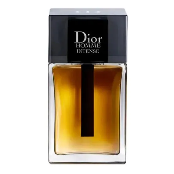 Dior Dior Homme Homme Intense EDP 100ml para masculino Foto 1