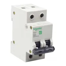 Disjuntor Bipolar 125a Curva C K32a2c125 Schneider Foto mini  2