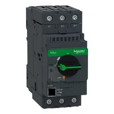 Disjuntor Motor Magnetico Schneider Gv3l50 50a 3p Foto mini 1