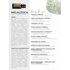 Doterra Óleo Essencial De Melaleuca Tea Tree 15ml Foto mini 2