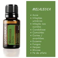 Doterra Óleo Essencial De Melaleuca Tea Tree 15ml Foto mini 3
