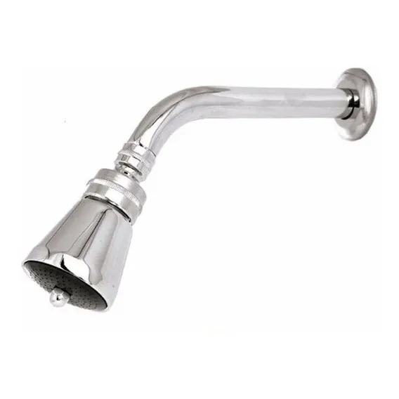 Ducha Chuveiro Articulado Metal Cromado P/ Uso C/ Aquecedor Cor Prateado Foto 1