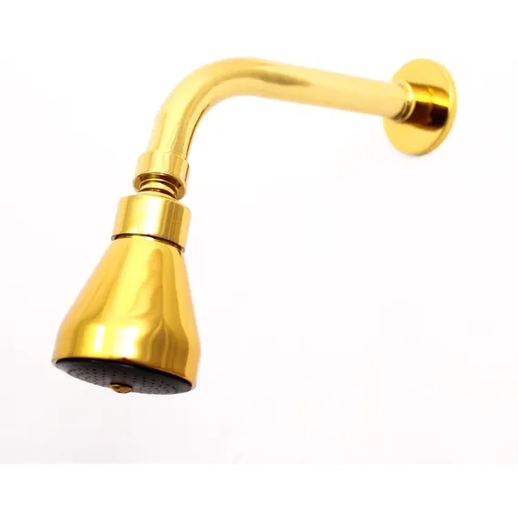 Ducha Chuveiro Articulado Para Aquecedor Gás Solar Dourado Foto 1