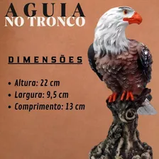 Dupla Águias Arquetipo Xamanismo Resistente Sol Chuva Resina Cor Colorido Foto mini 4