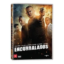 Dvd Encurralados Original Lacrado Foto mini 1