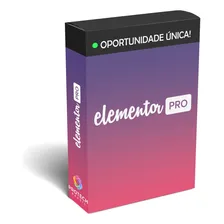 Elementor Pro + Chave Protech Brasil Foto mini 1