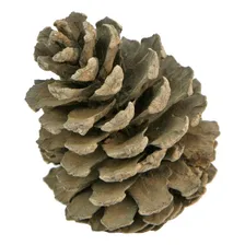 Enfeite de decoração de Natal com pinhas naturais e pinhas Mylin 96 unidades Foto mini 1