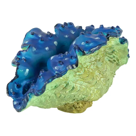 Enfeite De Resina Soma Invertebrado Tridacna Azul Foto 1