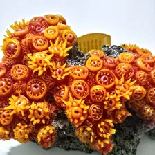 Enfeite Para Aquario Soma Coral Sun Flower Pq Decoração Foto mini  3