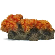 Enfeite Para Aquario Soma Coral Sun Flower Pq Decoração Foto  mini 1