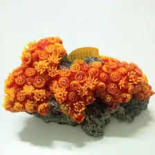 Enfeite Para Aquario Soma Coral Sun Flower Pq Decoração Foto mini  2