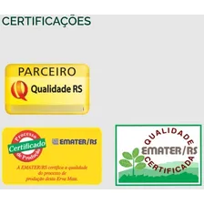 Erva Mate Ximango Chimarrão Tradicional A Vácuo 1 Kg Foto mini 4