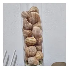 Escargot De Bourgogne C/24 Unidades + 24 Conchas 125g França Foto mini 2