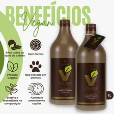 Escova De Biotina 100% Orgânica Vegan Hair S/ Formol - 2x1l Foto mini 2