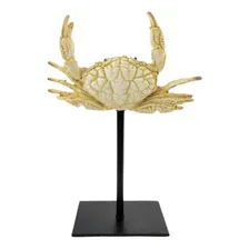 Escultura Caranguejo Decorativo Palha 23x16x7cm Resina Foto mini 1