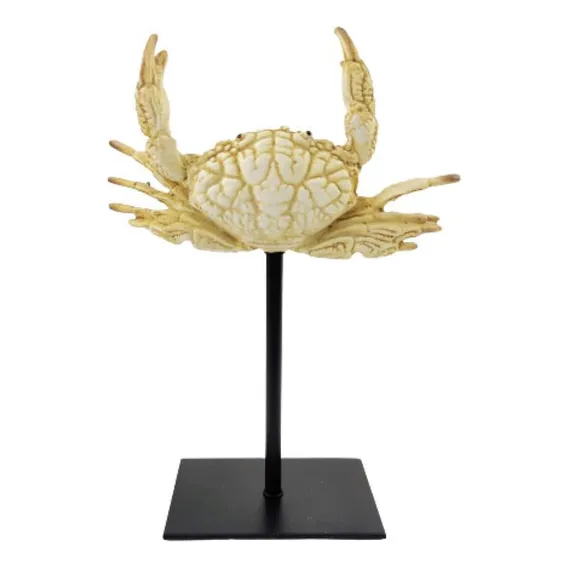 Escultura Caranguejo Decorativo Palha 23x16x7cm Resina Foto 1