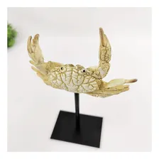 Escultura Caranguejo Decorativo Palha 23x16x7cm Resina Foto mini 4