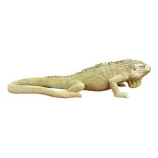 Escultura Decorativa Iguana Dourada Em Polirresina Foto mini 2