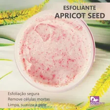 Esfoliante Apricot Seed Facial E Corporal Dermare - 200g Foto mini 4