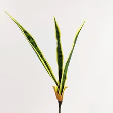 Espada De São Jorge Planta Artificial Para Vaso Flor Foto mini  3