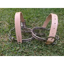 Espora Trançada Aço Inox Cavalo Montaria + Correia Couro Foto mini 3