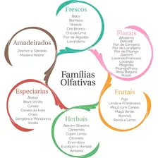 Essência Aromática Lavanda Francesa 10ml - Via Aroma Foto mini  3