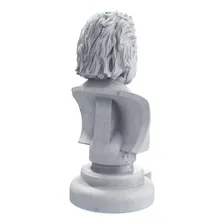 Estátua Busto Albert Einstein Físico Teórico - Escultura Cor Cor Mármore Foto mini 4