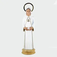Estatua Escultura Imagem 30cm Maria Nossa Senhora Grávida Cor Branco Foto mini 1