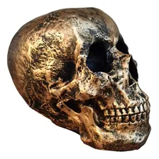 Estatueta Cranio Grande Decorativo Em Resina Dourado Foto mini  3
