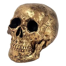Estatueta Cranio Grande Decorativo Em Resina Dourado Foto mini  2