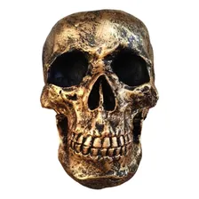 Estatueta Cranio Grande Decorativo Em Resina Dourado Foto mini 4