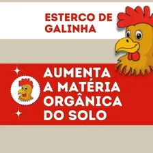 Esterco De Galinha Frango Adubo Orgânico Para Plantas 5 Kg Foto mini 4