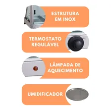 Estufa Para Salgados 2 Bandejas Vitrine Elétrica Edanca Inox 110v Foto mini 3
