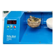Estufa Portatil Para Passaros E Aves Baby Bird Bivolt Foto mini  2