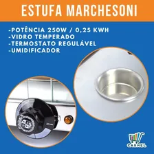 Estufa Vitrine Expositora Para Salgados 10 Bandeja 220V Foto mini 3