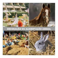 Fardo Feno Cavalo Capim Tifton Coast Cross 30kg Foto mini 3