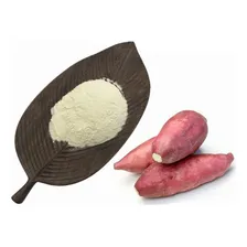 Farinha De Batata Yacon 100% Natural - 1kg Mega Foto mini 2