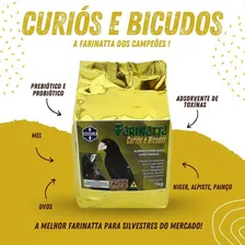 Farinhada Farinatta Curi贸 Bicudo Azul玫es Coleira Amgercal 1k Foto mini 4