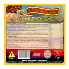 Farinhada Protein Pássaros - Pp Ovo Power - 5kg Foto  mini 1