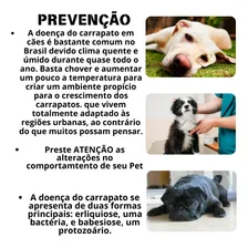 Farma Line Bio Line 500 Cão/Gato - 1 Foto mini 3