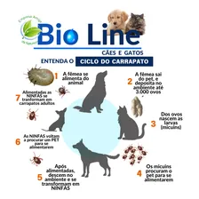 Farma Line Bio Line 500 Cão/Gato - 1 Foto mini 4