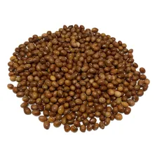 Feijao Guandu Anão -1kg De Sementes Foto mini 4