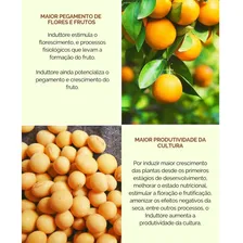 Fertilizante Foliar Bioestimulante 1l Foto mini  3