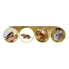 Fibra Coco Plantio Germinação Orquidea Kokedamas 60 Litros Foto mini  3