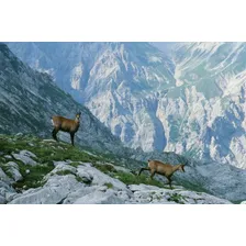 Filme Kodak Ektachrome E100 Color Transparen 35mm - 36 Poses Foto mini 3