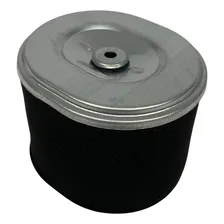 Filtro De Ar Motor 8.0/13.0/15.0 Buffalo Branco Honda Foto mini 3